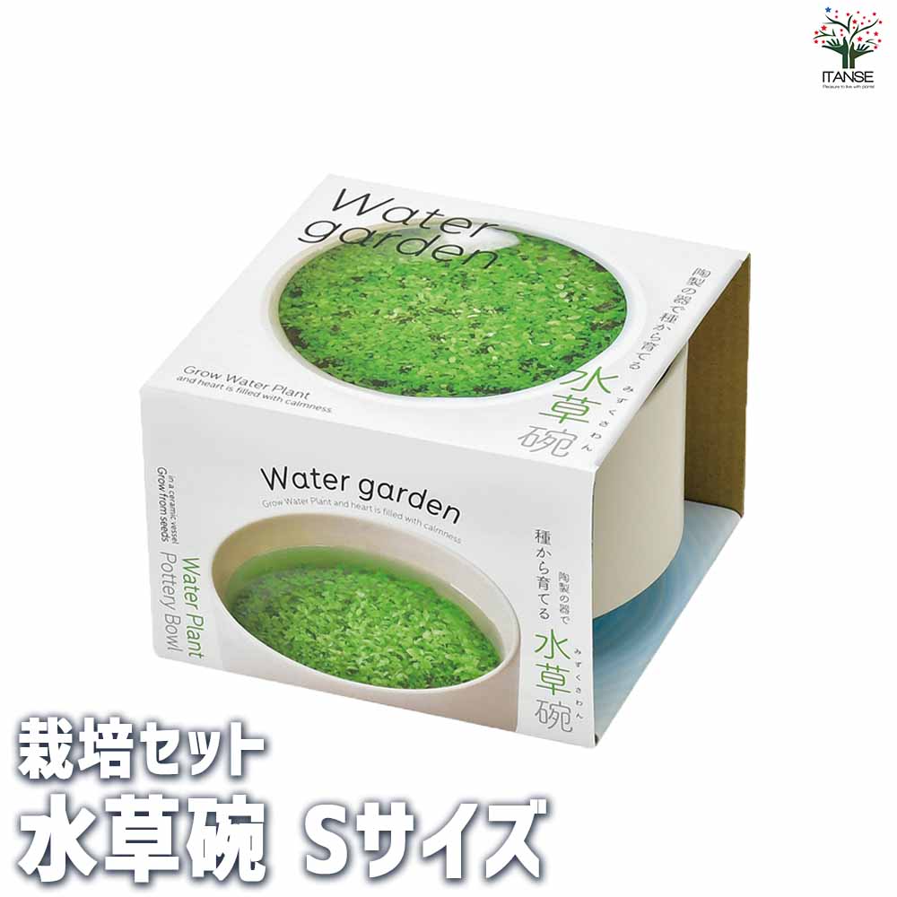 【送料無料】栽培セット 水草碗 Sサイズ 1個売り 簡単キット 栽培キット お手軽ガーデニング 送料無料 即納