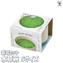 【P2倍★マラソン期間中】栽培セット 水草碗 【Sサイズ/1個売り】簡単キット 栽培キット お手軽ガーデニング