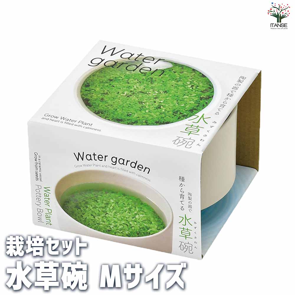【送料無料】栽培セット 水草碗 Mサイズ 1個売り 簡単キット 栽培キット お手軽ガーデニング 送料無料 即納