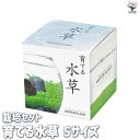【P2倍★マラソン期間中】栽培セット 育てる水草 【Sサイズ/1個売り】簡単キット 栽培キット お手軽ガーデニング