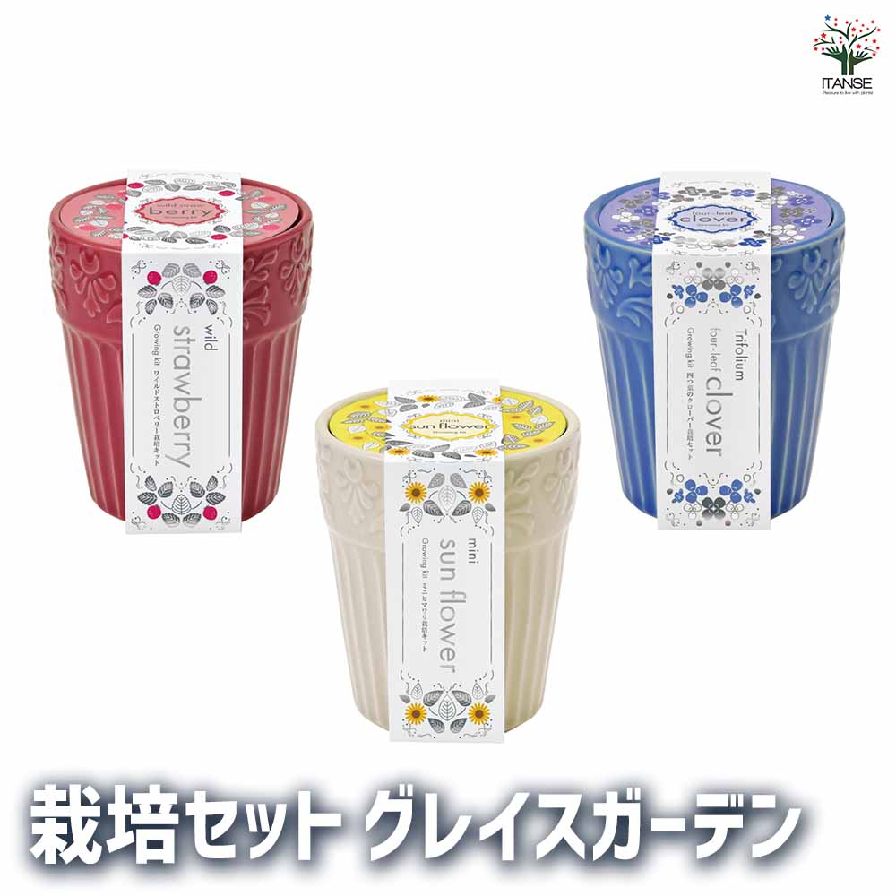【送料無料】栽培セット グレイスガーデン オシャレ鉢で栽培★ 簡単キット 栽培キット お手軽ガーデニング 室内 送料無料 即納