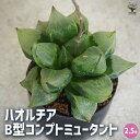 商品画像3