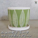 【P2倍★マラソン期間中】陶器鉢 ニューセラ リーフ B セラミックポット グリーン 【陶器鉢/1個売り】植木鉢 鉢 鉢植え プランター 陶器 おしゃれ 北欧 ...