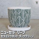 【P2倍★マラソン期間中】陶器鉢 ニューセラ リーフ D セラミックポット ダークグリーン 【陶器鉢/1個売り】植木鉢 鉢 鉢植え プランター 陶器 おしゃれ ...