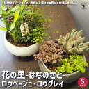 【P2倍★マラソン期間中】花の里-はなのさと- ロウ2色(ベージュ・グレイ) 【陶器鉢 S/1個売り】鉢 セラミック鉢 盆栽 アンティーク インテリア