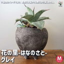 【P2倍★マラソン期間中】花の里-はなのさと- グレイ 【陶器鉢 M/1個売り】鉢 セラミック鉢 盆栽 アンティーク インテリア