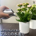 【P2倍★マラソン期間中】ジョウロ アルミの水差し 【水やりグッズ】ガーデニンググッズ 園芸グッズ 水やり 水差し 花瓶 花器 フラワーベース インテリア 栽培...