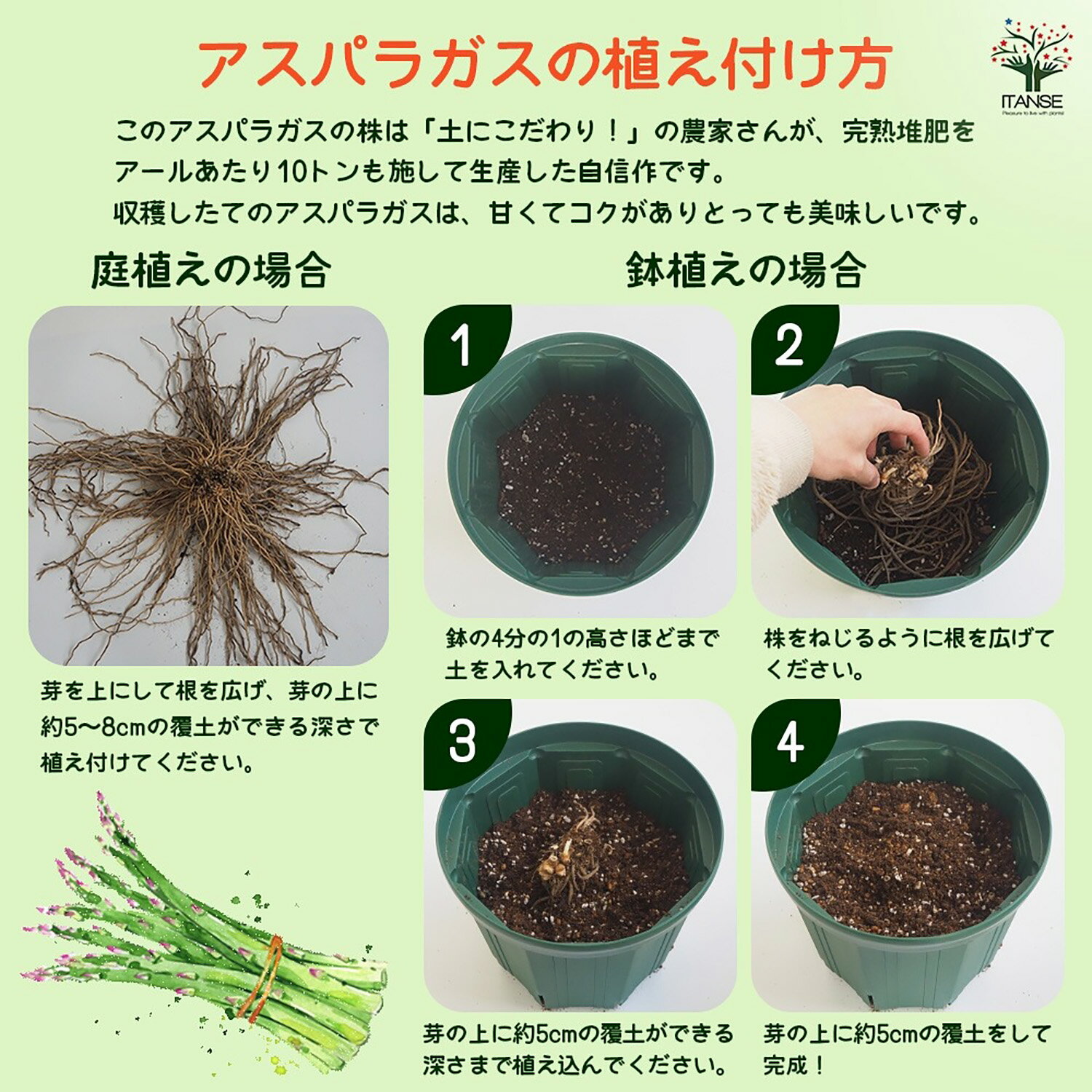 ��SS���֡�P5�ܡ��Х����ѥ饬���� ���������٤ޤ� ���礤�����������������ܥ����� ����� ��ڳ� ��� �� �庬 Ȫ Ϫ�Ϻ��� �ϥ������� ���� �٥��� ���� �쥷�� ���� �͵� �����Ѥ餬�� ����̵�� ¨Ǽ