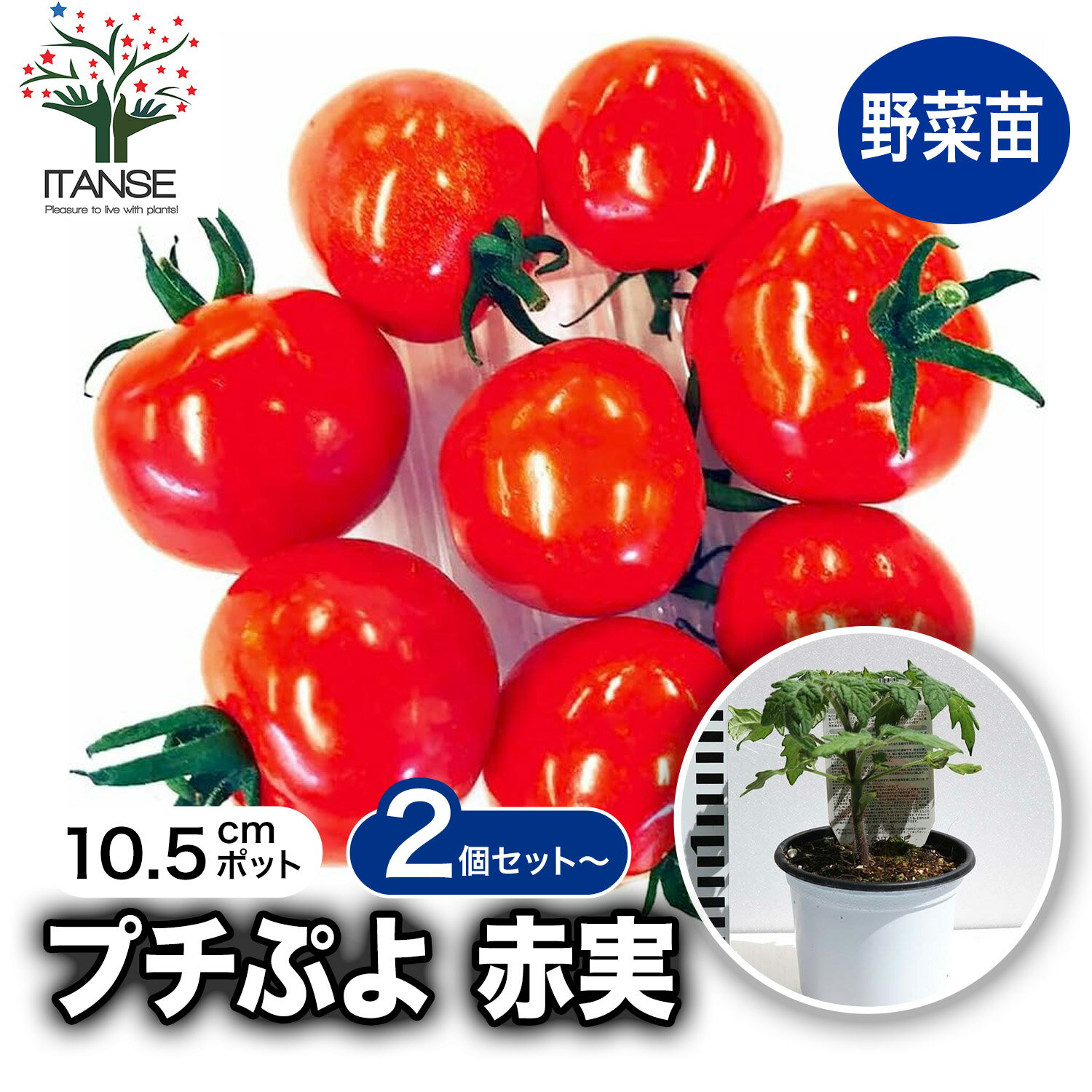 商品画像