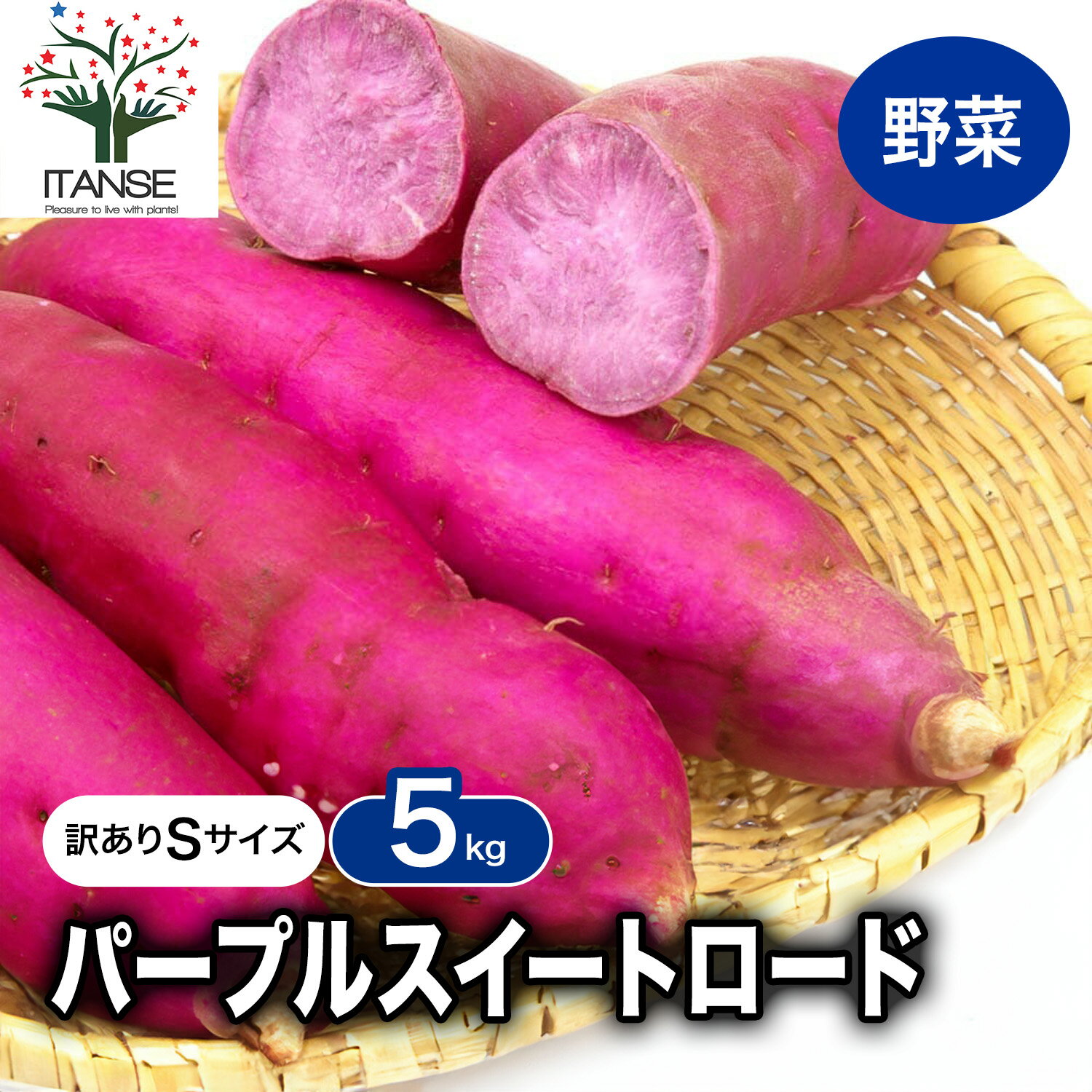 ������̵���ۥѡ��ץ륹�����ȥ����� �����ꥵ�������פ� ��Ŷ��5kg ���Ĥޤ��� �������Ĳ� �������� ���ĥޥ��� ����� ���Ĥް� �Ȱ� �䤭���� �ư� �Ƥ�...