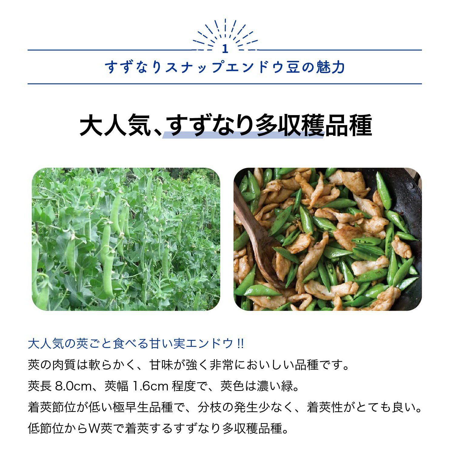 �ڥݥ����UP���ޥ饽����֡ۤ����ʤꥹ�ʥåץ���ɥ�Ʀ���� �����9cm�ݥåȼ����� ���� �� �٥��� ��ñ ���� ����ɤ�Ʀ ���䤨��ɤ� ���䥨��ɥ� snap pea Ϫ�Ͽ��� �ϥ������� ����̵�� ¨Ǽ