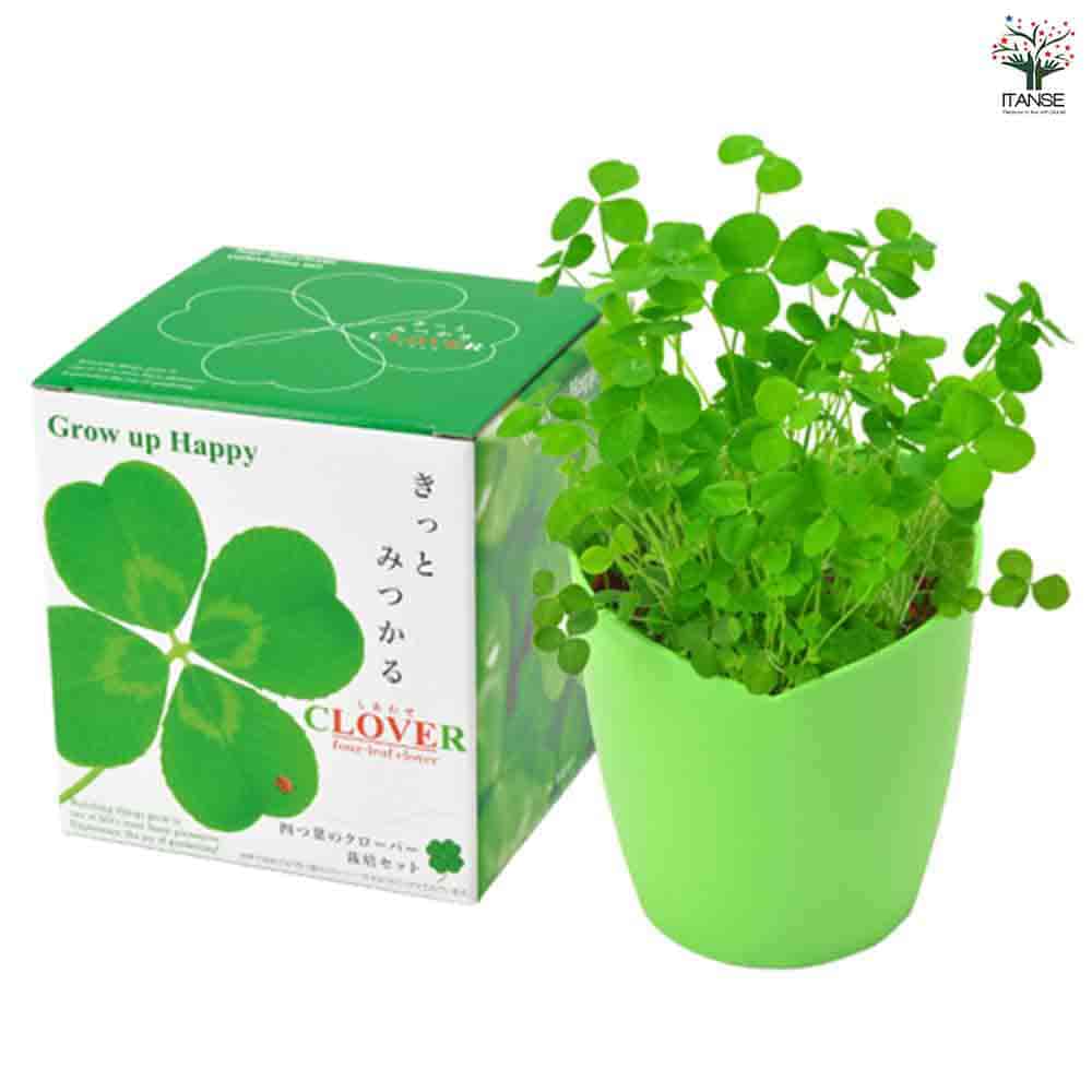 �ڥݥ����UP���ޥ饽����֡ۺ��ݥ��å� ���äȤߤĤ���ͤ��դΥ������С� ���� ��ñ���å� ���ݥ��å� ����ڥ����ǥ˥� ����̵�� ¨Ǽ