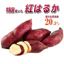 【マラソン中★ポイントUP】茨城県産 さつまいも 紅はるか【MLサイズ 2023 秋 新芋 土付き お買い得】美味しい べにはるか サツマイモ さつま芋 薩摩芋 焼き芋 やきいも 焼芋 干し芋 干しいも …