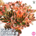 商品画像2