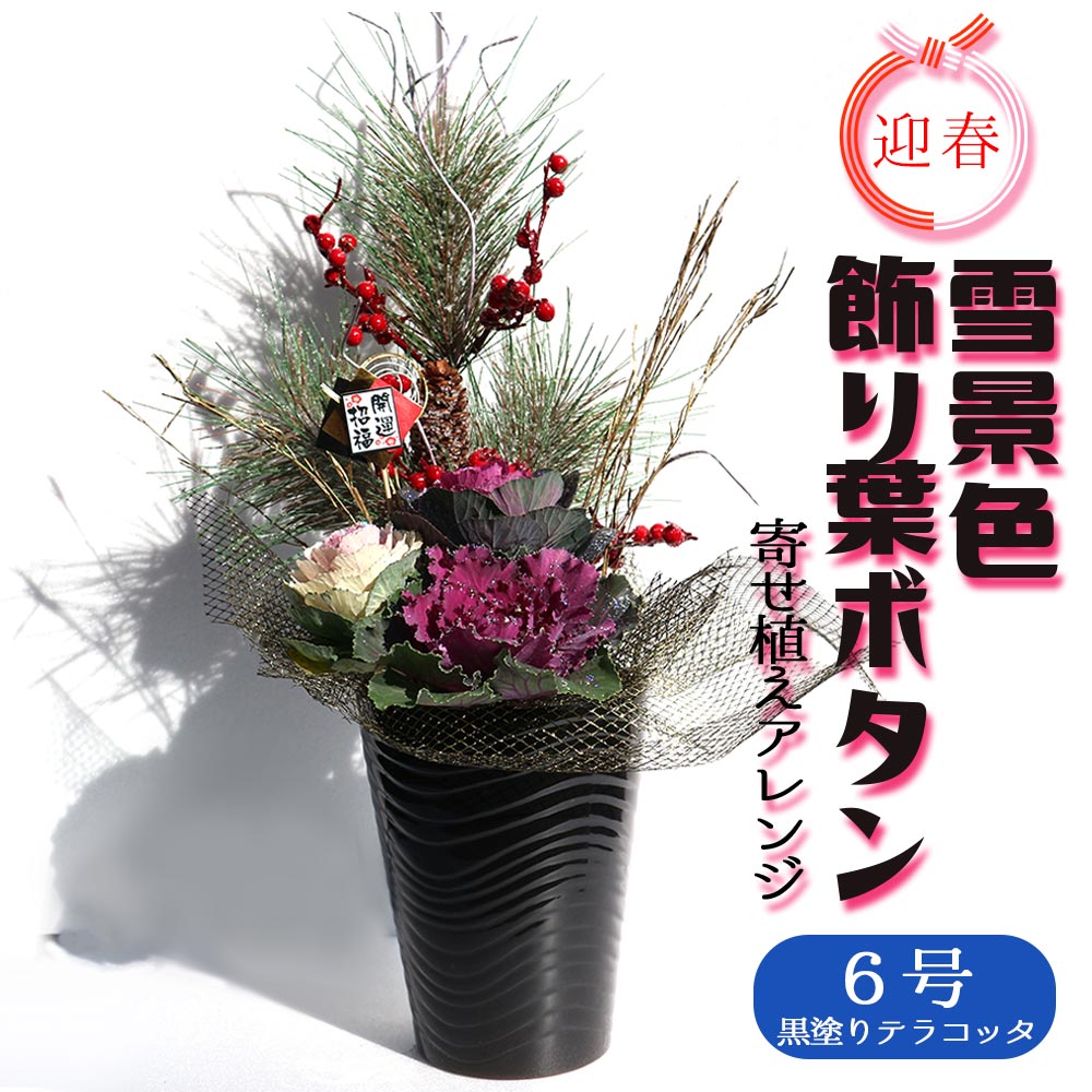 【送料無料】お正月飾り 迎春雪景色 葉ボタン寄植え 大型【花苗 6号／1個売り】(サイズイメージ:高さ約56cm×幅約25cm×奥行約23cm)正月飾り お正月 門松 迎春 飾り 寄植 寄せ植え アレンジ モダンスタイル 玄関 年賀