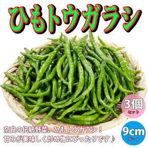 ̵ۤҤȤ餷 9cmݥå/3ĥåȡۥȥ饷 ɻ ⤬餷 Red pepper ٥ ϪϺ ٥ڱ  쥷 ϥ  ӥ