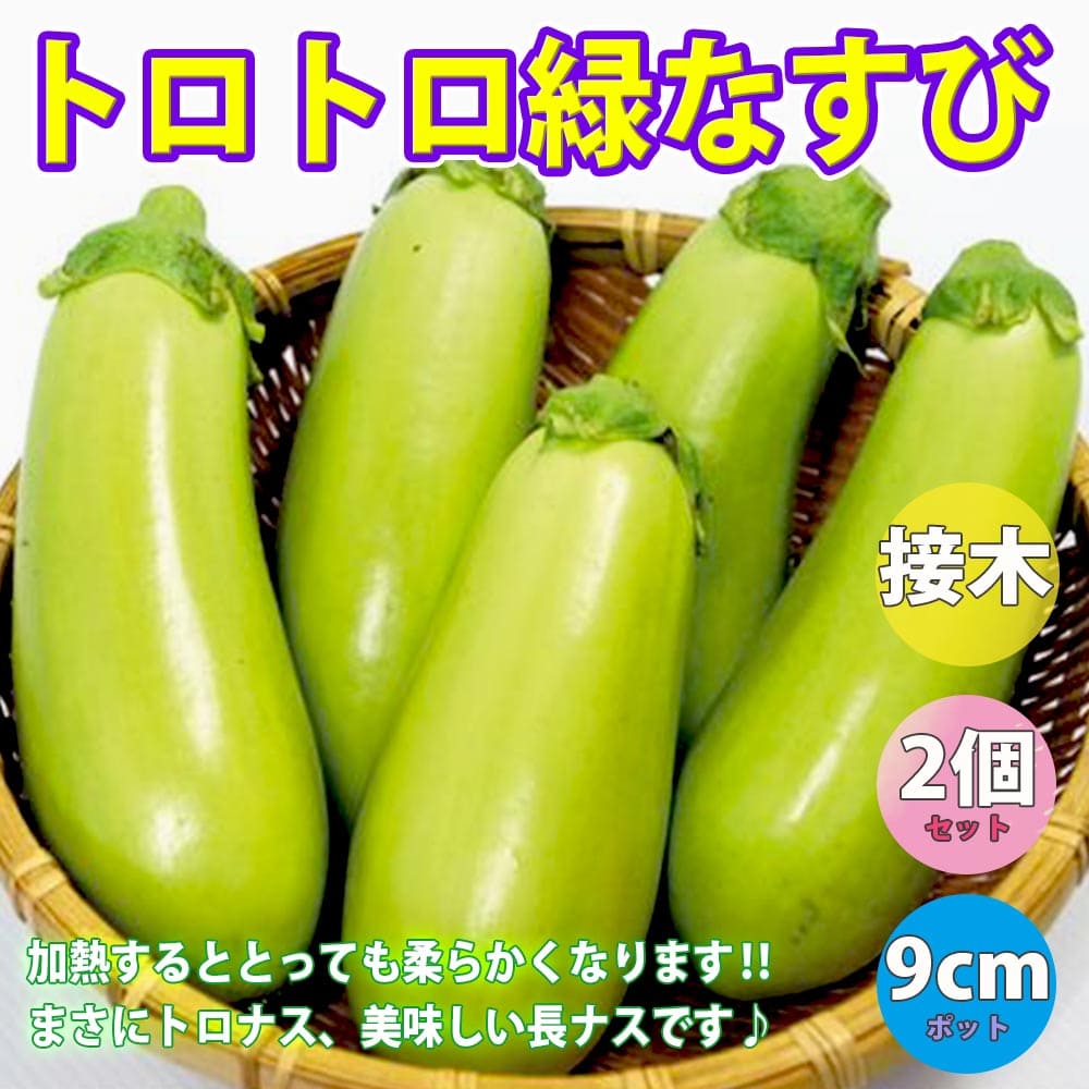 珍しい野菜の苗！春から育てるのにおすすめの人気の野菜を教えてください！