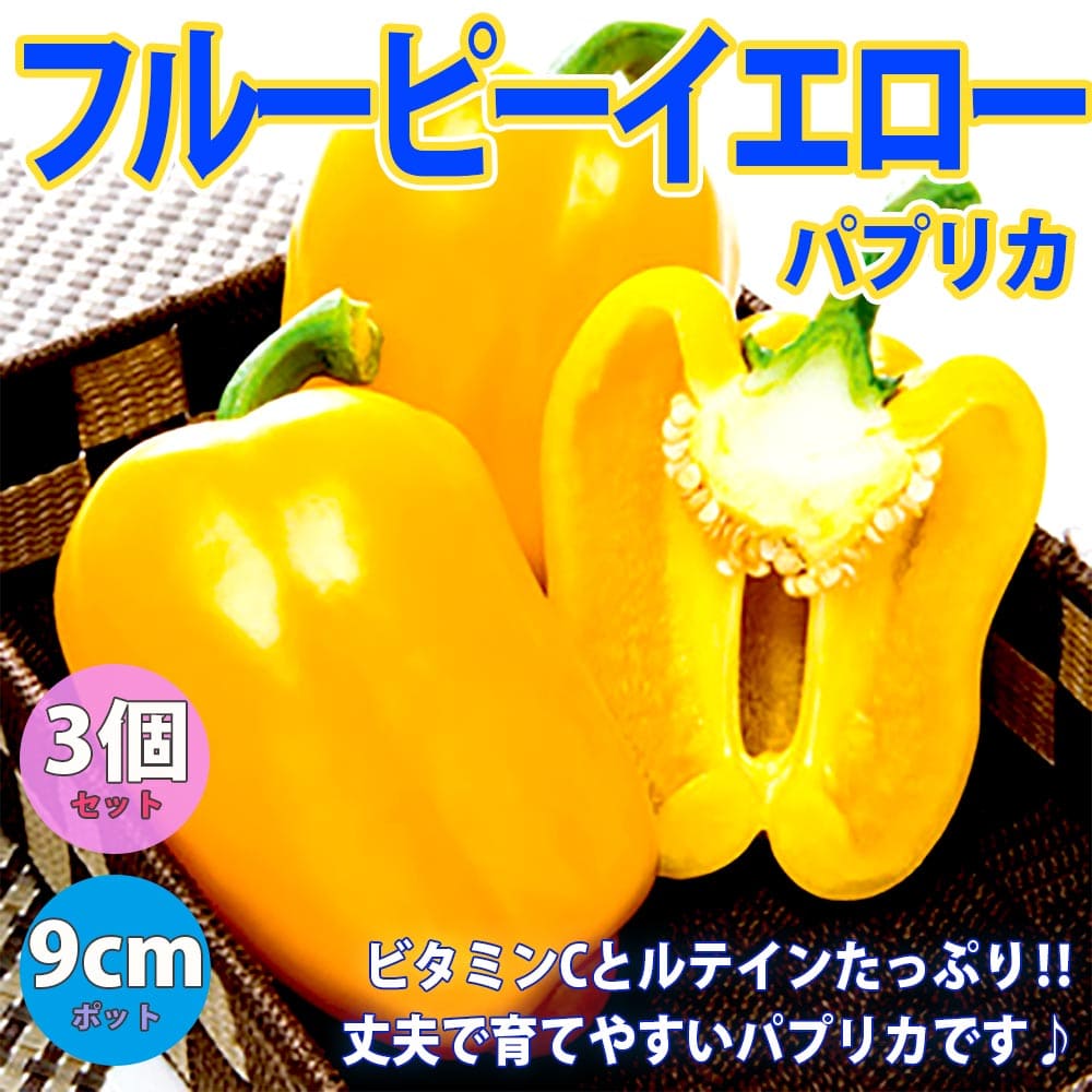 ̵ۥѥץꥫ(ե롼ԡ) 9cmݥå/3ĥåȡۤѤפ꤫ ԡޥ ԡޤ ϪϺ   ѥץꥫ green pepper papurika