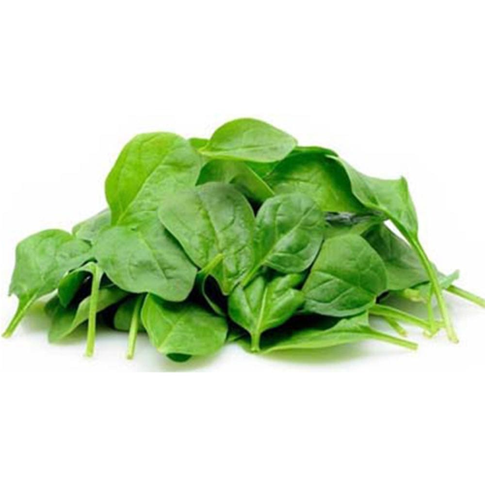 農園 収穫 春野菜 夏野菜 秋野菜 初心者 苗 料理 ハウス栽培 実生苗 最終決算 蔓紫 もろへいやガーデニング 家庭菜園 簡単栽培 プランター 鉢植え 庭植え つるむらさき 青茎見計い混合 ベランダ菜園 赤茎 ツルムラサキ 露地栽培 ベランダ レシピ モロヘイヤ ツルムラサキ