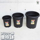 【ポイント2倍★マラソン期間】植木鉢 果樹鉢 お得な培養土セットもあります! プラ鉢 プランター かわいい おしゃれ 植木鉢 コンテナ planter 寄せ植え 寄植え 野菜 果樹 ハーブ 観葉植物 花 草花 植木 栽培用 インテリア 家庭菜園 ガーデニング 送料無料 即納