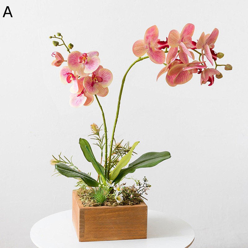 胡蝶蘭 ミニ花器 鉢植え 花カゴ 造花インテリア 花束 卓上置き 枯れない花 装飾花 観葉植物 リアル 本物そっくり 枯れない 北欧 アート ins ガーデン飾り 装飾置物 贈り物 写真撮影 玄関飾りのサムネイル