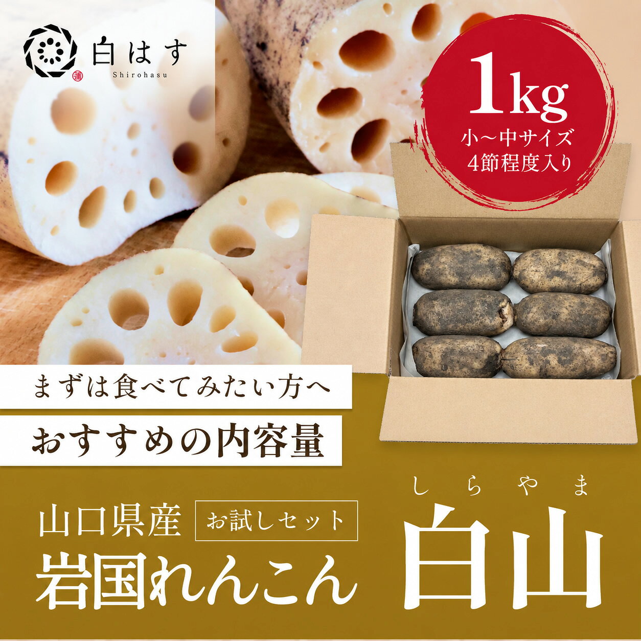 ■　農家 高嶋農園・ハスの中村 ■　入数 ご家庭用岩国蓮根（1kg） ■　農場おすすめ ご到着後3〜4日以内にお召しいただけると水分量も豊富で美味しく食べれます ■　主な成分 【ビタミンC】 れんこんには熱に強いビタミンCが多く含まれ、風邪予防や美肌づくり、疲労回復に役立ちます。 【食物繊維】 腸内環境を整え、便秘の予防やコレステロールの排出を助けます。 【タンニン】 れんこんの切り口が黒くなるもとでもあるポリフェノールの一種で、抗酸化作用や消炎作用があり、肌荒れやのどの痛みの改善にも効果が期待できます。 【カリウム】 体内の余分なナトリウムを排出し、むくみの改善や高血圧予防に役立ちます。 【ビタミンB群】 エネルギー代謝を助け、疲労回復や神経機能の維持に関わります。 ■　岩国蓮根白はすの特徴 岩国れんこんには、ビタミンC、食物繊維、カリウム、ビタミンB群などの基本的な栄養素が豊富に含まれています。 また、れんこん特有のポリフェノールであるタンニンも含まれ、抗酸化作用や消炎作用が期待できます。 これらの成分により、免疫力の維持、美肌効果、むくみや高血圧の予防、腸内環境の改善など、さまざまな健康効果が期待されています。　　
