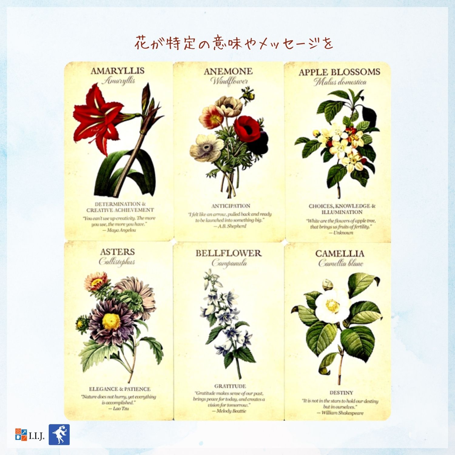 ボタニカル・インスピレーション・オラクルカード Botanical Inspirations オラク...
