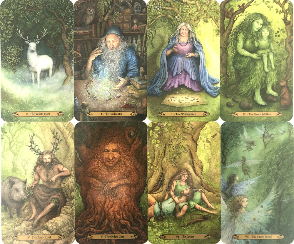 フォレスト オブ エンチャントメント タロット Forest of Enchantment Tarot タロ...