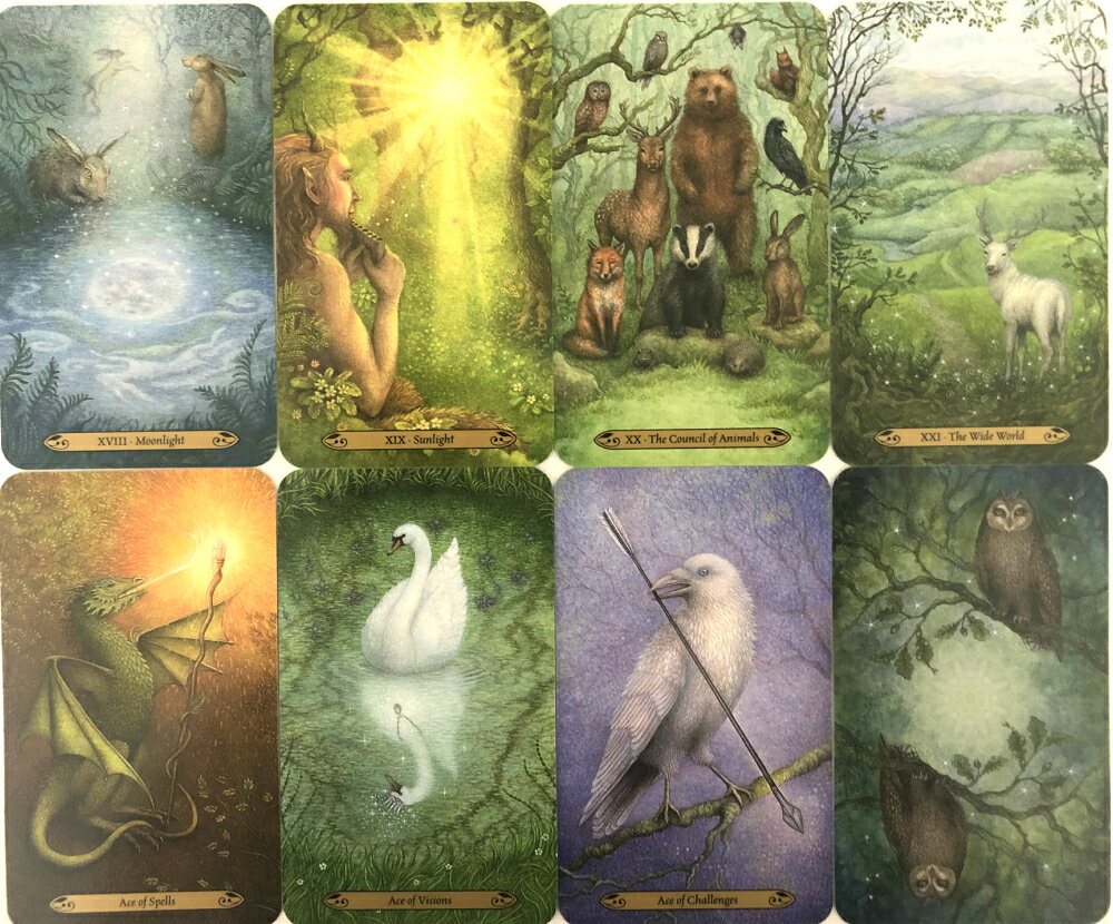 フォレスト オブ エンチャントメント タロット Forest of Enchantment Tarot タロ...