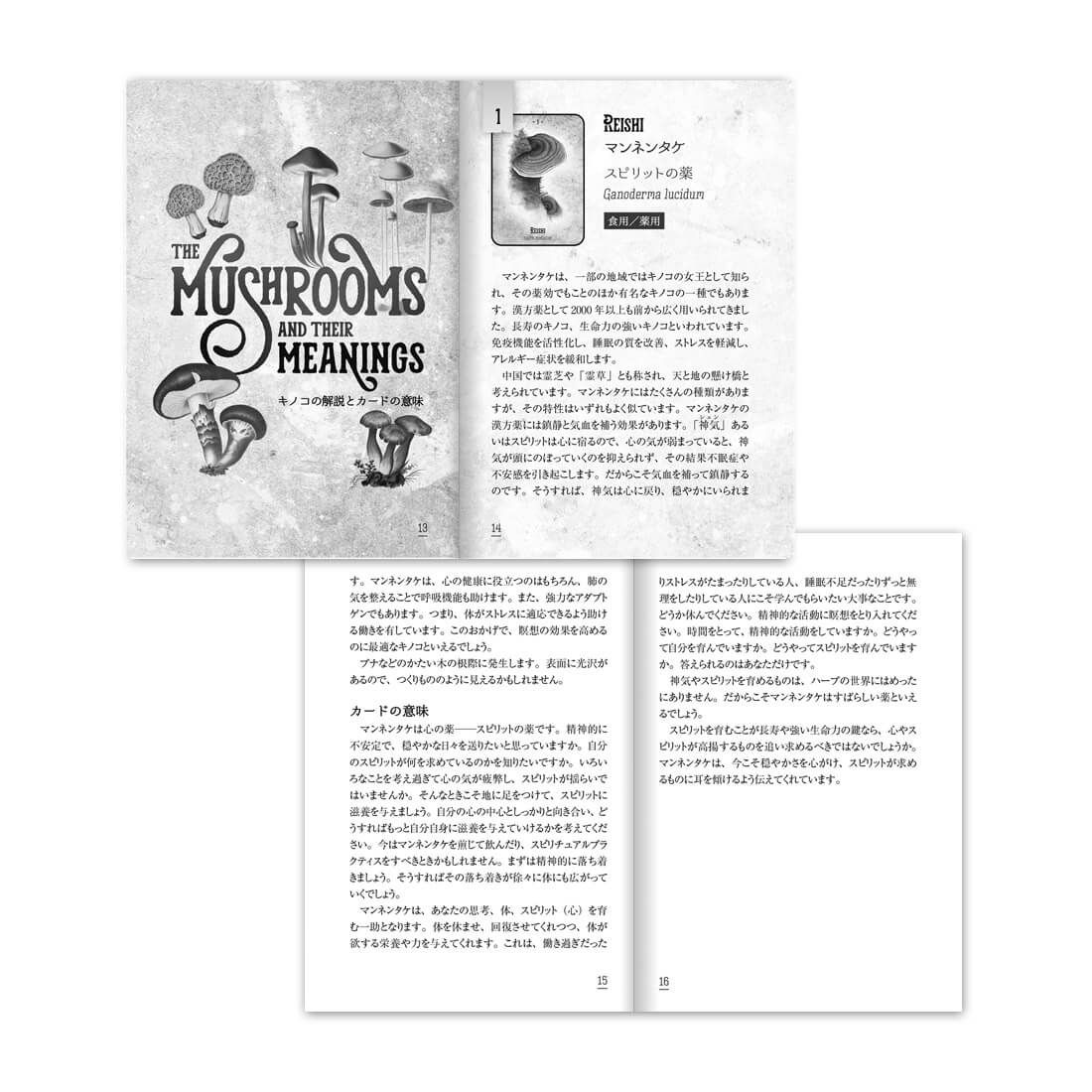 マッシュルーム スピリット オラクルカード オラクルカード アファメーション 日本語 占い 日本語解説書付き 正規品