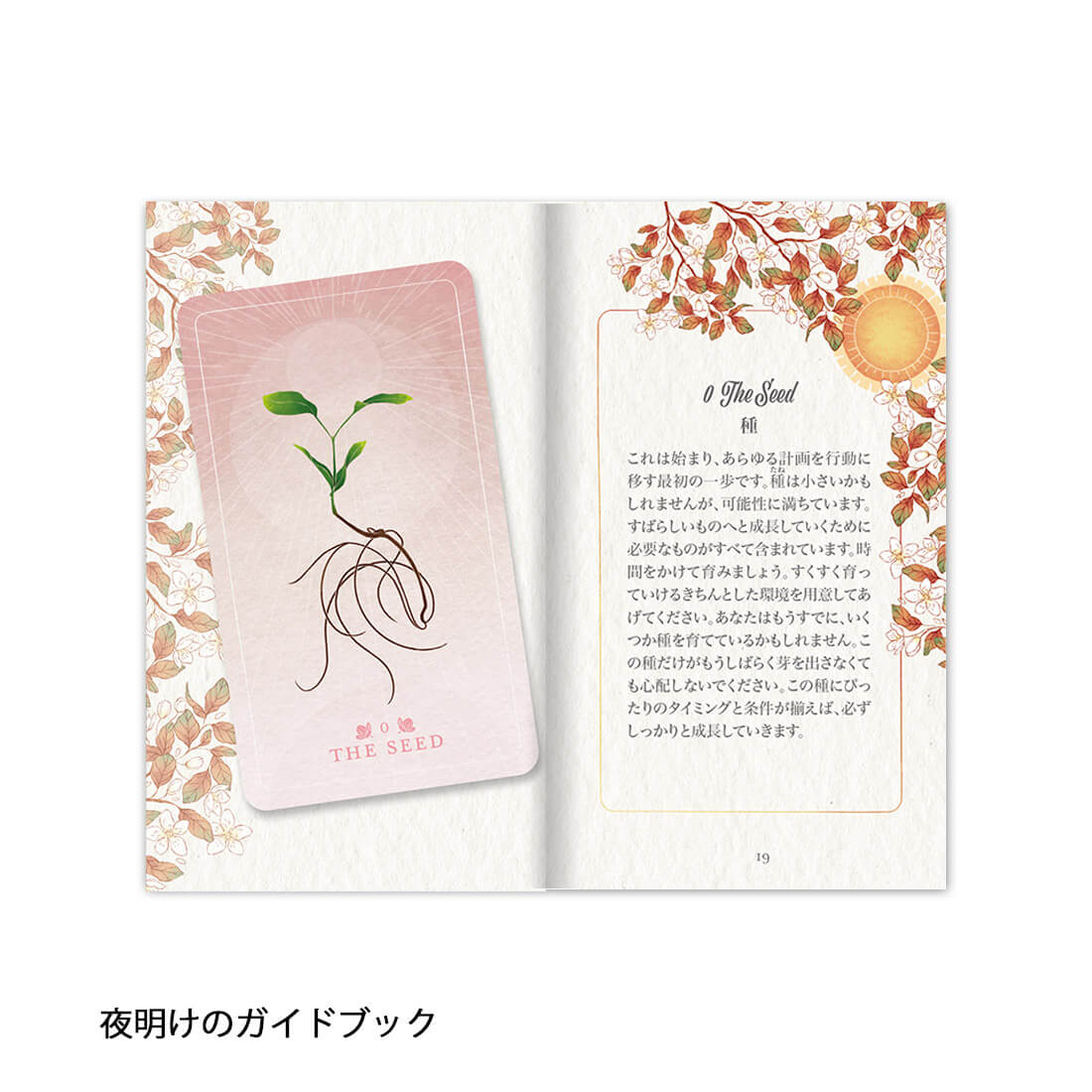 シード＆シックル オラクルカード オラクルカード アファメーション 日本語 占い ...