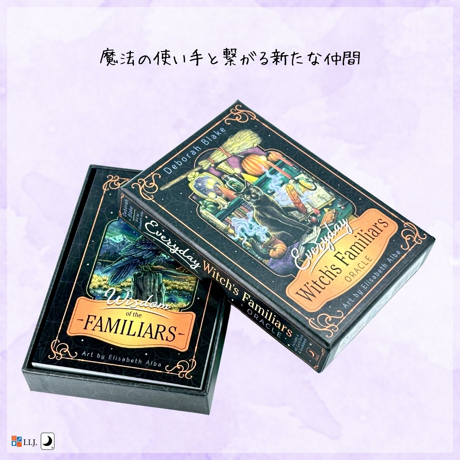 エブリデイ・ウィッチ・ファミリア・オラクル Everyday Witch's Familiars Oracle ...
