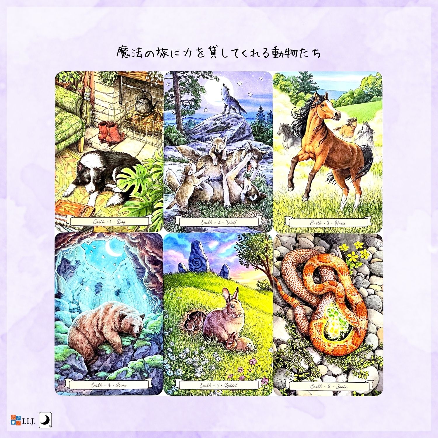 エブリデイ・ウィッチ・ファミリア・オラクル Everyday Witch's Familiars Oracle ...