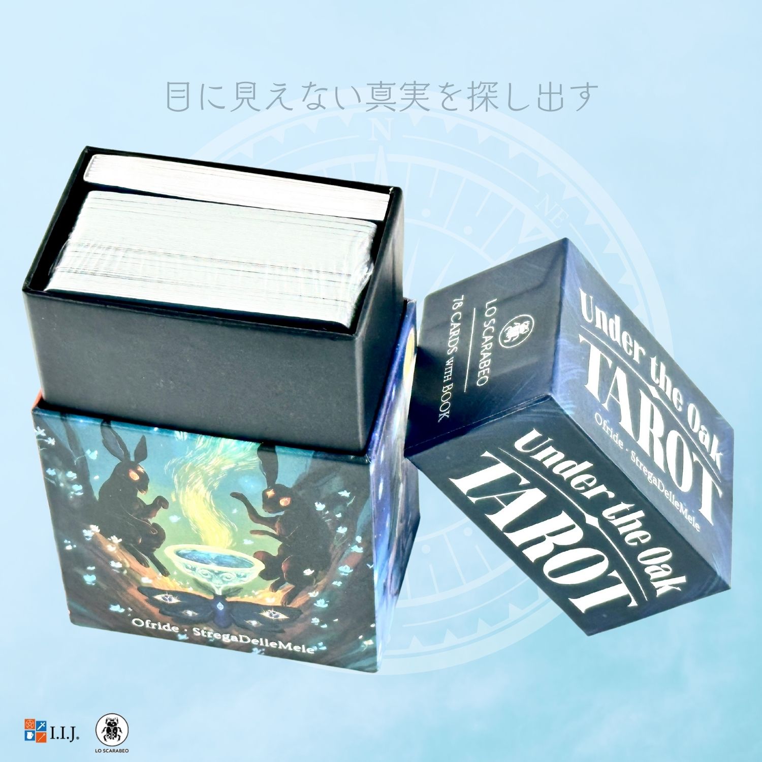 アンダー・ザ・オーク タロット Under the Oak Tarot タロットカード 78枚 タロッ...