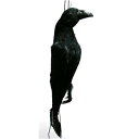 鳥追いカラス 黒ちゃん(防鳥・害鳥対策用品)