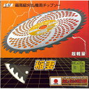 SAF・セフティー 稲妻ダイヤ型 230×25.4×36P 10枚組<剣牛・小林鉄工所>(4)