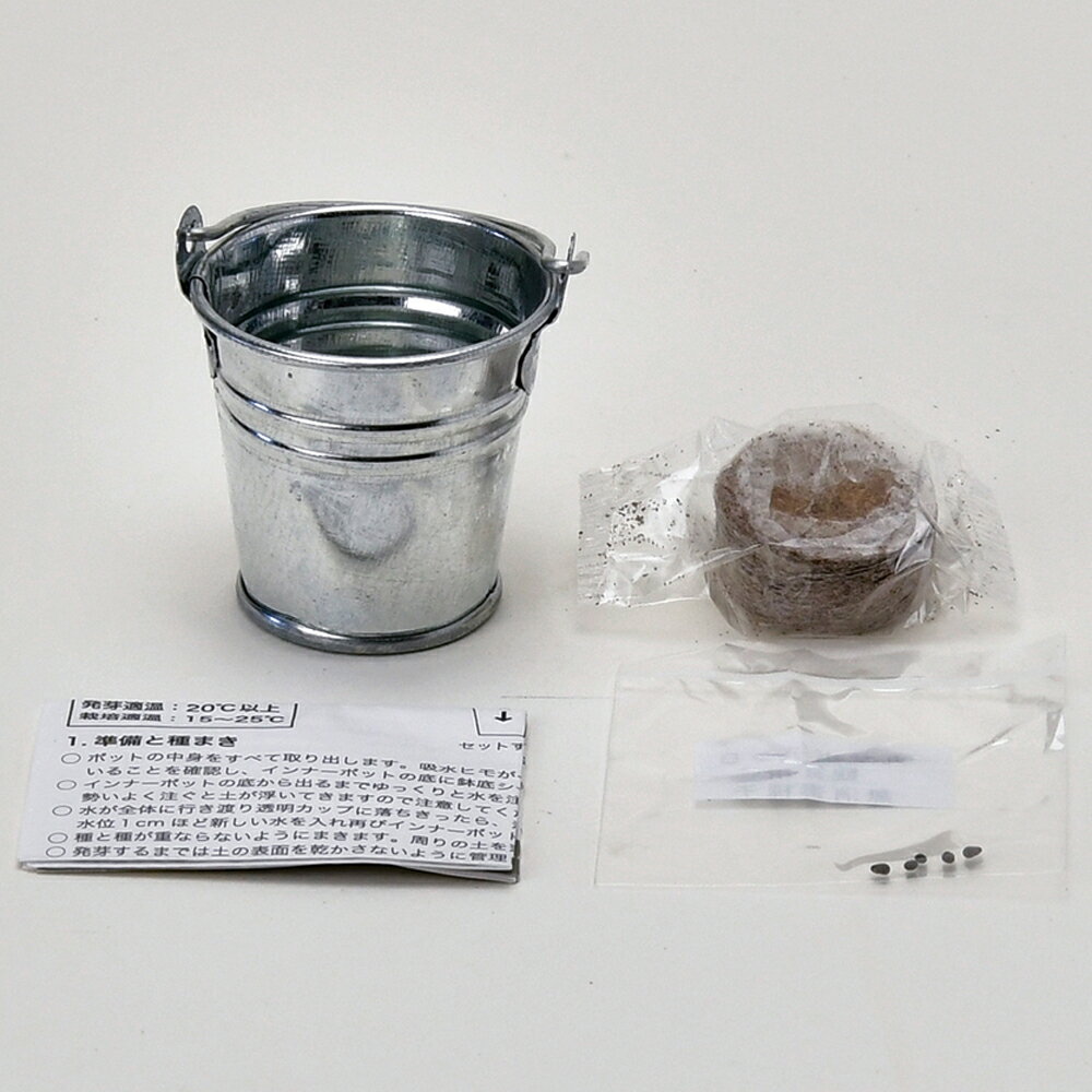 【SALE】【送料無料】3個セット サボバケツ栽培キット サボテン 栽培セット GD-103...