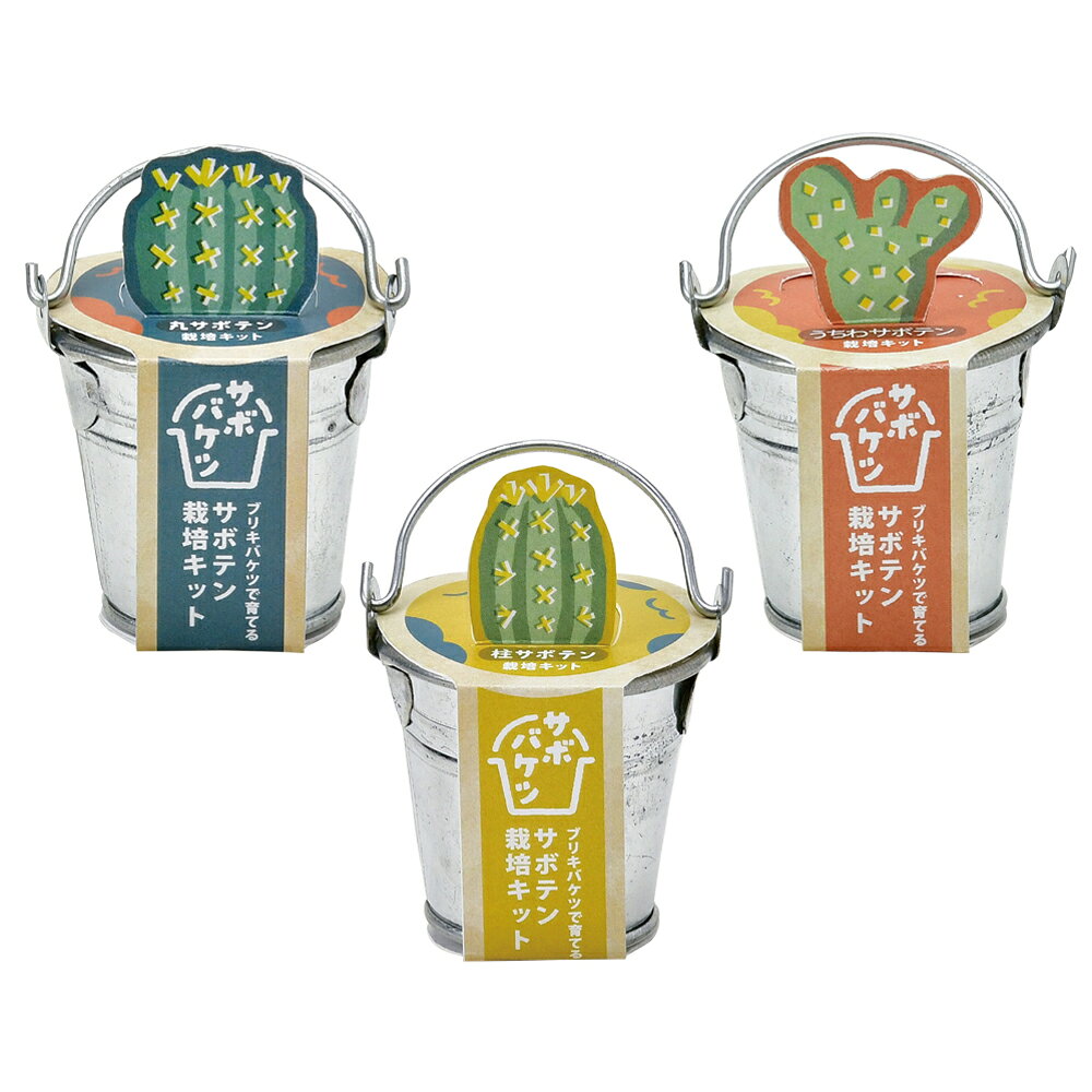 【SALE】【送料無料】3個セット サボバケツ栽培キット サボテン 栽培セット GD-103...