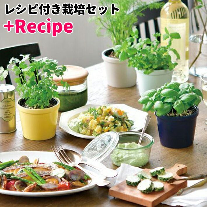 【送料無料】レシピ付き 栽培セット +Recipe GD-951 栽培キット ハーブ ガーデニング プレゼント ギフト 贈り物 母の日 父の日 敬老の日 観葉植物 インテリアグリーン ミント パセリ バジル デ…