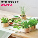 【マラソンSALE】【送料無料】和っ葉 栽培セット GD-956 WAPPA キット ガーデニング プレゼント ギフト 贈り物 母の日 父の日 敬老の日 観葉植...