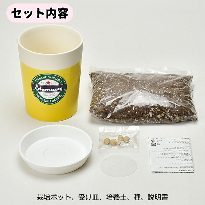 【送料無料】えだまめ 栽培セット GD-979 園芸 キット ガーデニング プレゼント ギフト 贈り物 宿題 春休み 夏休み 観察 自由研究 母の日 父の日 敬老の日 観葉植物 インテリアグリーン 花 夏 枝豆