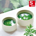 【マラソンSALE】【送料無料】水草碗 Sサイズ GD-986 栽培セット キット 陶器 アクアリウム プレゼント ギフト 贈り物 母の日 父の日 敬老の日 観...