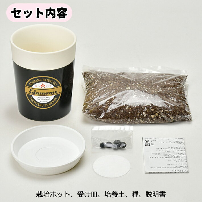【SALE】【送料無料】黒枝豆 えだまめ 栽培セット GD-995 園芸 キット ガーデニン...