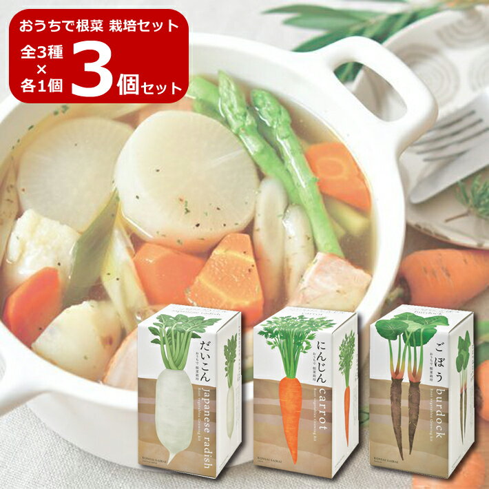 【SALE】【送料無料】3個セット 全3種 各1個 おうちで根菜 栽培セット GD-891 栽培キット 大根 人参 ゴボウ 野菜 ガーデニング プレゼント ギフ...