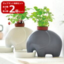 【マラソンSALE】【送料無料】2個セット 全2種 各1個 エレプラント GD-955 eleplant ゾウ ぞう 象 栽培セット キット ハーブ ガーデニン...