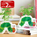 【マラソンSALE】【送料無料】2個セット はらぺこあおむし わくわく陶器ポットガーデン 栽培セット HP-06 園芸 栽培キット ガーデニング プレゼント ギ...