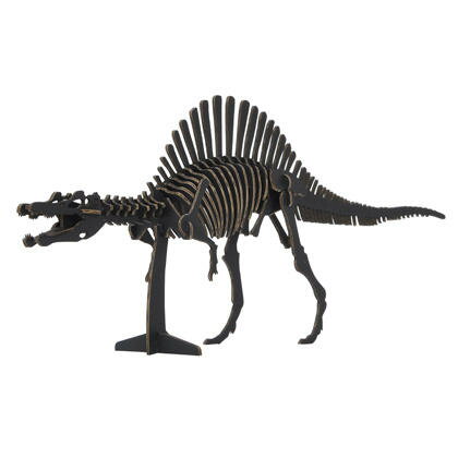 yzhacomo Dinosaur nR _Ci\[  XsmTEX BLACK ubN  ߋ  g H _{[ Ntg w tx GW ċx ~x h HLbg