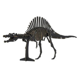 【送料無料】hacomo Dinosaur ハコモ ダイナソー 恐竜 スピノサウルス BLACK ブラック 黒 玩具 おもちゃ 組立式 工作 ダンボール クラフト 小学生 春休み GW 夏休み 冬休み 宿題 工作キット