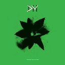 Exciter | The 12