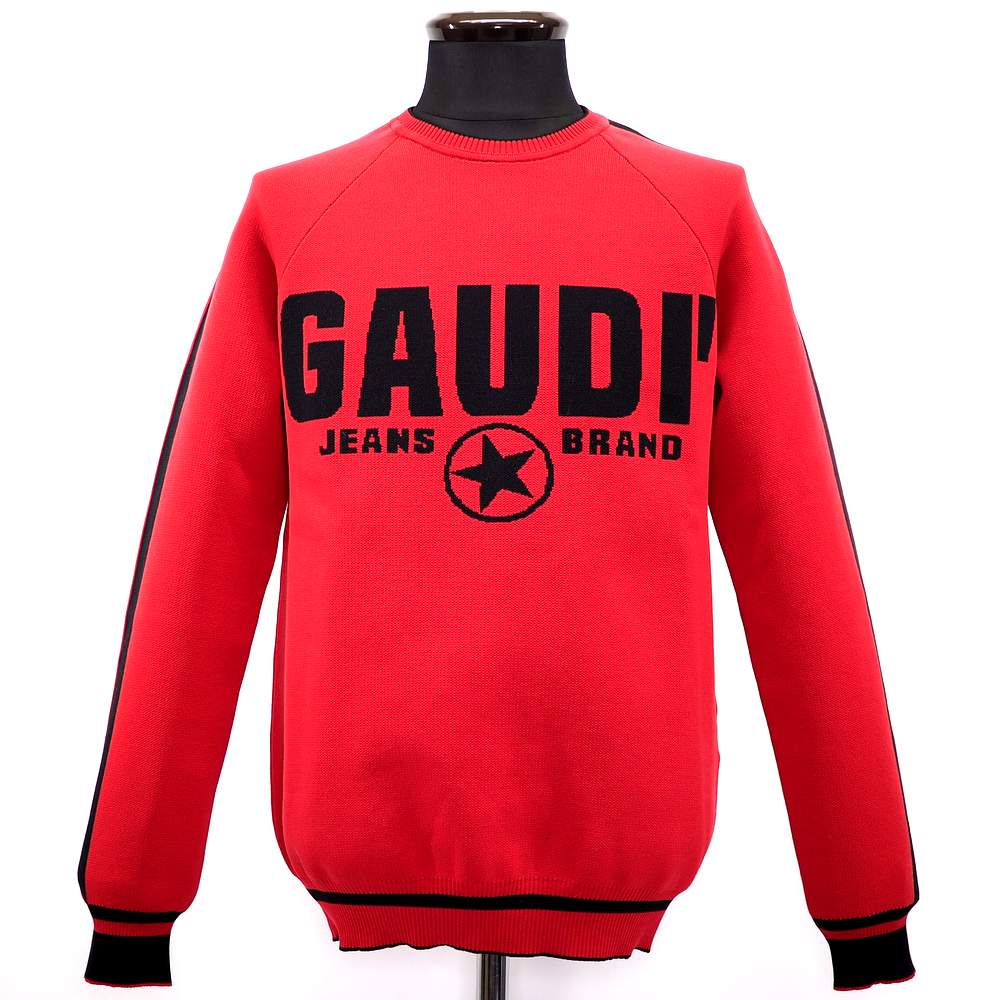 秋冬 セーター M(46) サイズ レッド（赤） ガウディ メンズ カジュアル 男性 40代 50代 60代 70代